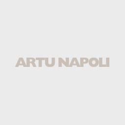 ArtuNapoli-logo-UIT