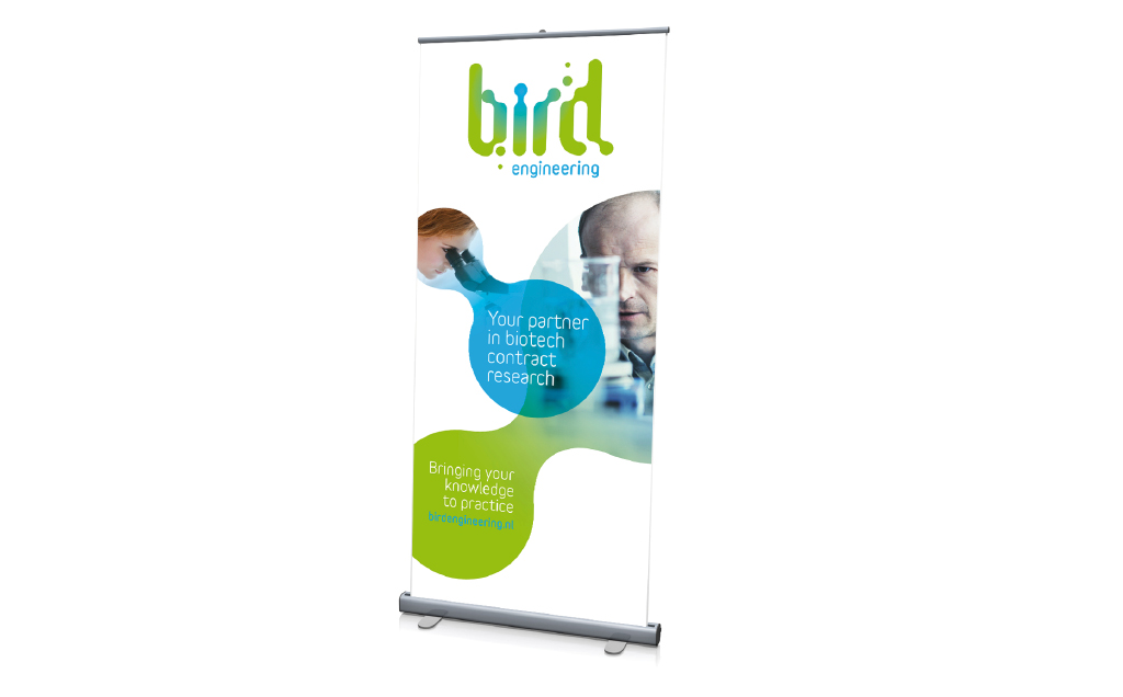 Bird-5