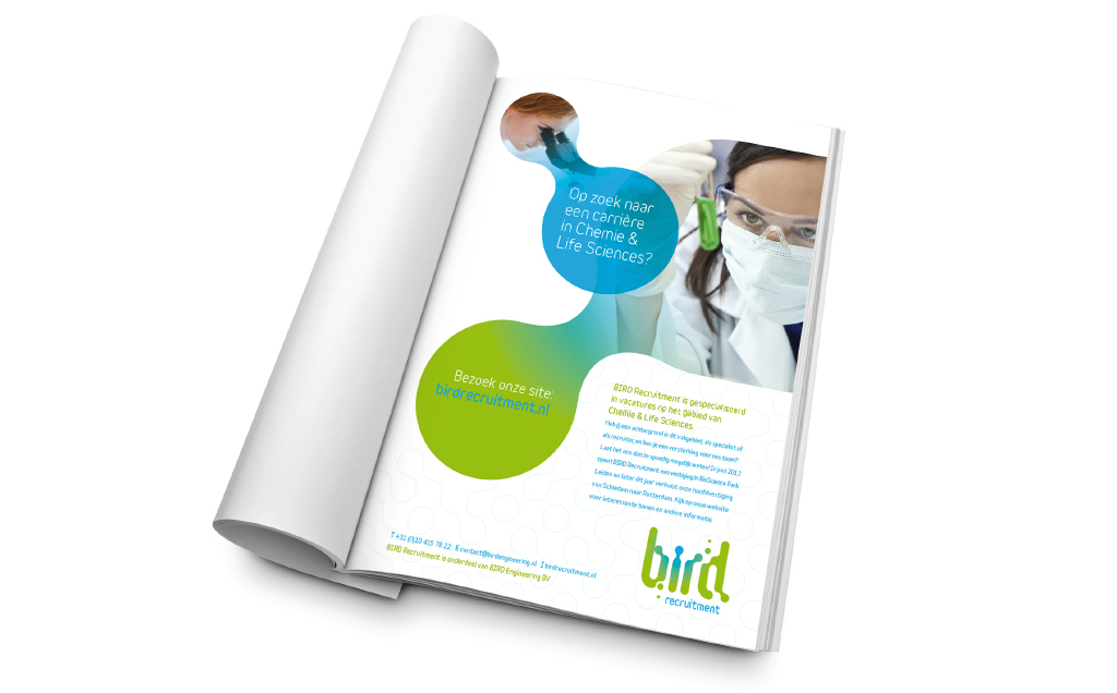 Bird-6